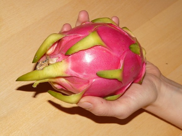 red-dragonfruit-pitaya